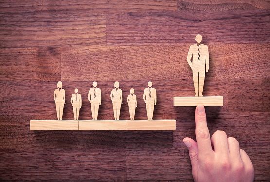 Identifying and Developing Talent in Higher Education